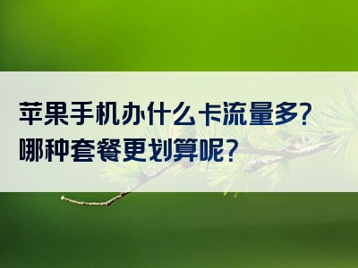 苹果手机办什么卡流量多？哪种套餐更划算呢？