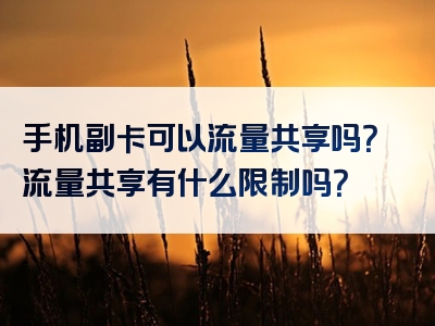 手机副卡可以流量共享吗？流量共享有什么限制吗？