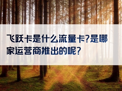 飞跃卡是什么流量卡？是哪家运营商推出的呢？