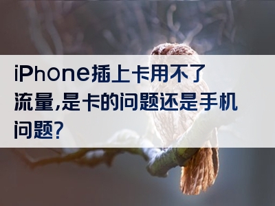 iPhone插上卡用不了流量，是卡的问题还是手机问题？
