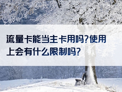 流量卡能当主卡用吗？使用上会有什么限制吗？