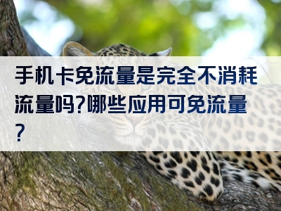 手机卡免流量是完全不消耗流量吗？哪些应用可免流量？