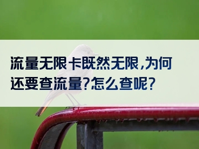 流量无限卡既然无限，为何还要查流量？怎么查呢？
