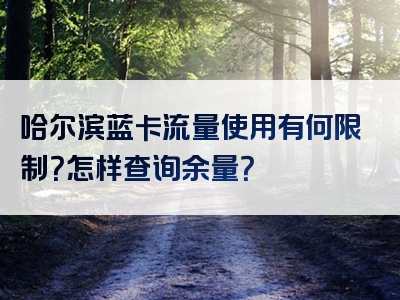 哈尔滨蓝卡流量使用有何限制？怎样查询余量？