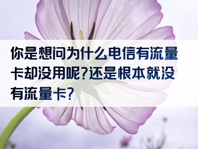 你是想问为什么电信有流量卡却没用呢？还是根本就没有流量卡？