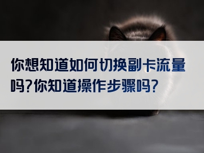 你想知道如何切换副卡流量吗？你知道操作步骤吗？