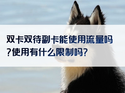 双卡双待副卡能使用流量吗？使用有什么限制吗？