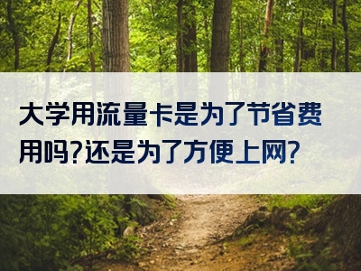 大学用流量卡是为了节省费用吗？还是为了方便上网？