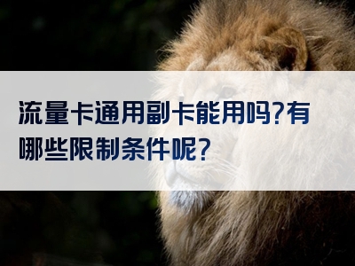 流量卡通用副卡能用吗？有哪些限制条件呢？