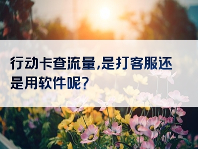 行动卡查流量，是打客服还是用软件呢？