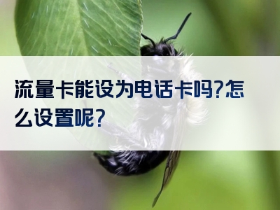 流量卡能设为电话卡吗？怎么设置呢？