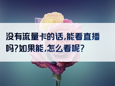 没有流量卡的话，能看直播吗？如果能，怎么看呢？
