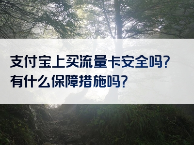 支付宝上买流量卡安全吗？有什么保障措施吗？