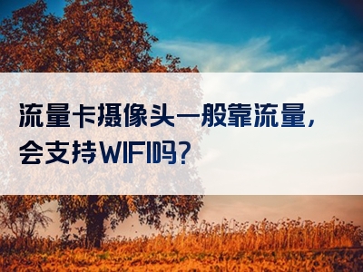 流量卡摄像头一般靠流量，会支持WIFI吗？