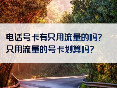 电话号卡有只用流量的吗？只用流量的号卡划算吗？