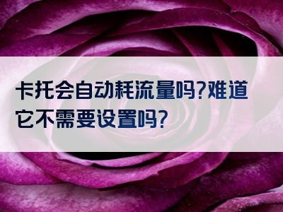卡托会自动耗流量吗？难道它不需要设置吗？