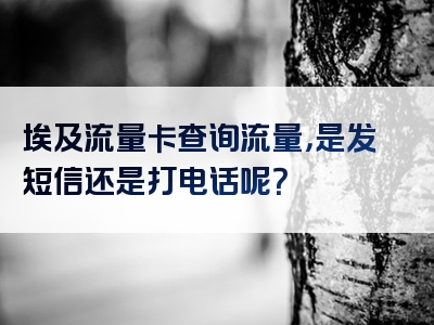 埃及流量卡查询流量，是发短信还是打电话呢？
