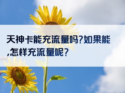 天神卡能充流量吗？如果能，怎样充流量呢？
