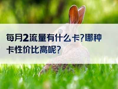 每月2流量有什么卡？哪种卡性价比高呢？