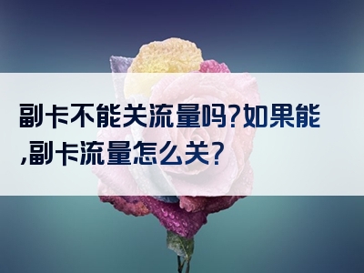 副卡不能关流量吗？如果能，副卡流量怎么关？