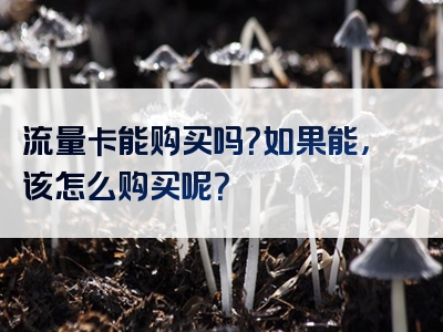 流量卡能购买吗？如果能，该怎么购买呢？