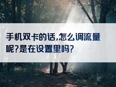 手机双卡的话，怎么调流量呢？是在设置里吗？