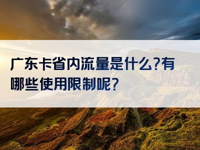 广东卡省内流量是什么？有哪些使用限制呢？