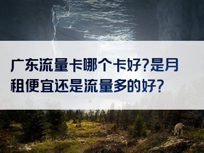 广东流量卡哪个卡好？是月租便宜还是流量多的好？