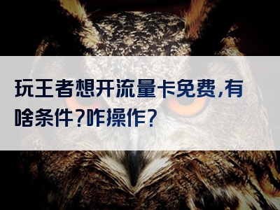 玩王者想开流量卡免费，有啥条件？咋操作？
