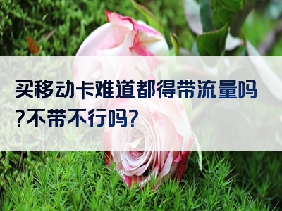 买移动卡难道都得带流量吗？不带不行吗？